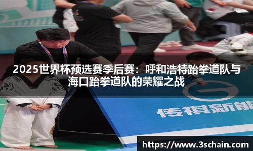 2025世界杯预选赛季后赛：呼和浩特跆拳道队与海口跆拳道队的荣耀之战